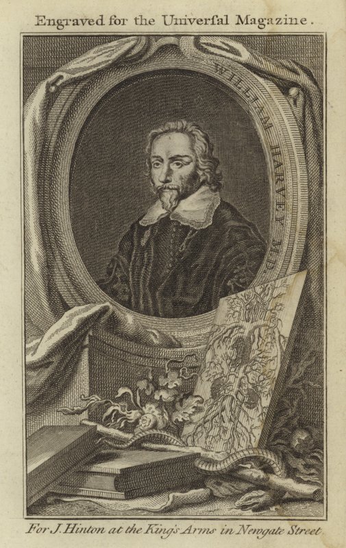 William Harvey MD od English School