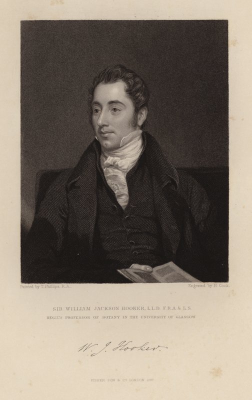 William Jackson Hooker od English School
