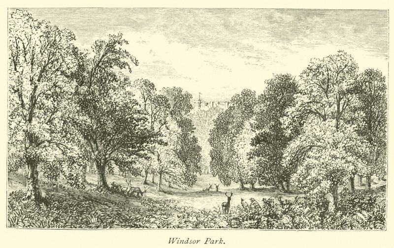 Windsorský park od English School