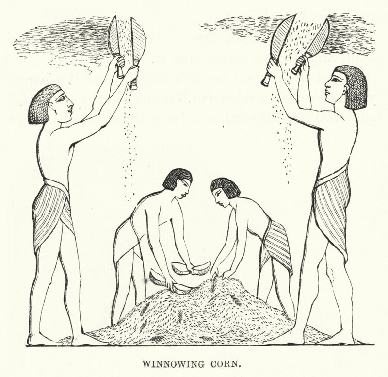 Winnowing Corn (rytina) od English School