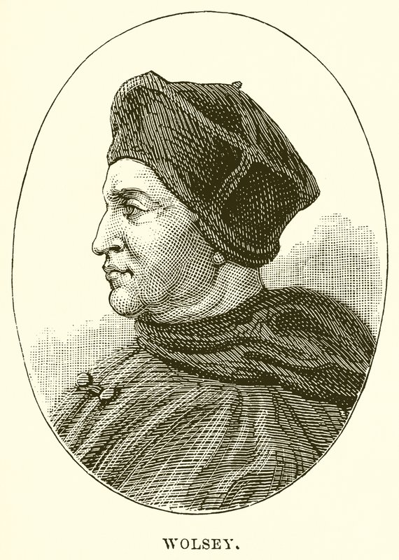 Wolsey od English School