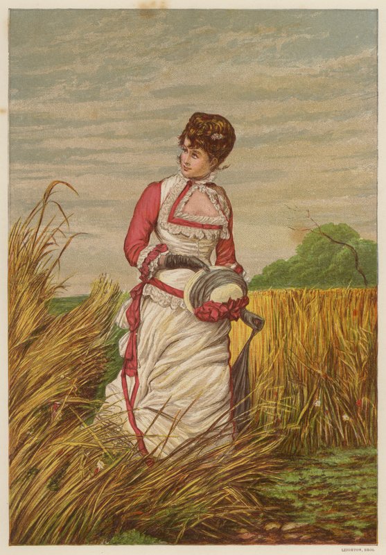 Žena vstoupila do kukuřičného pole (barva litho) od English School