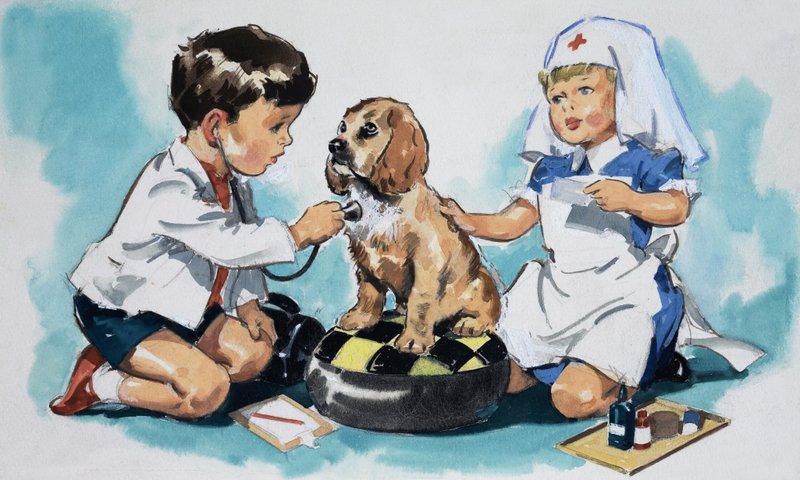 Mladí veterináři od English School