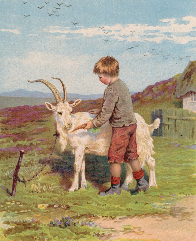 Mladý chlapec krmí kozu na farmě mrkví (chromolitho) od English School