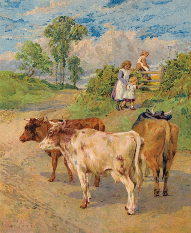Malé děti a skot (barevná litografie) od English School