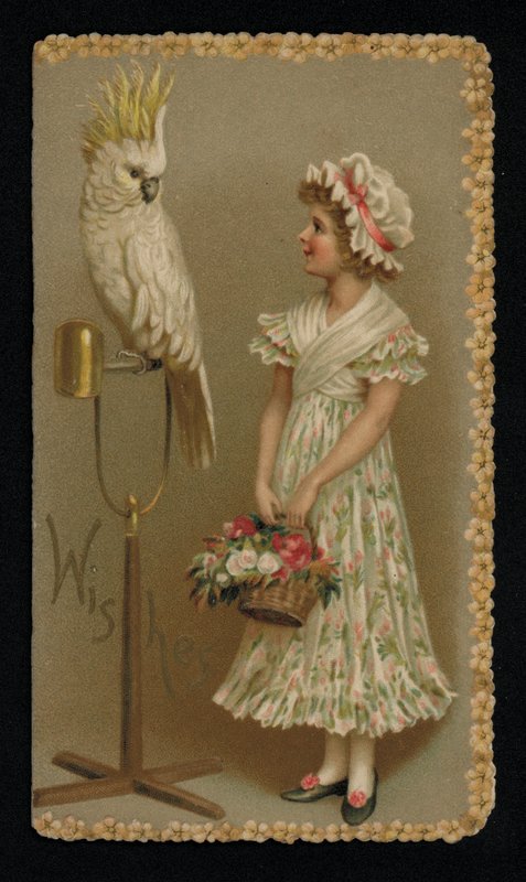 Mladá žena s bílým kakadu, blahopřání. (chromolit) od English School
