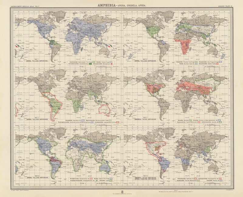 Zoogeografie: (barevná litografie) od English School