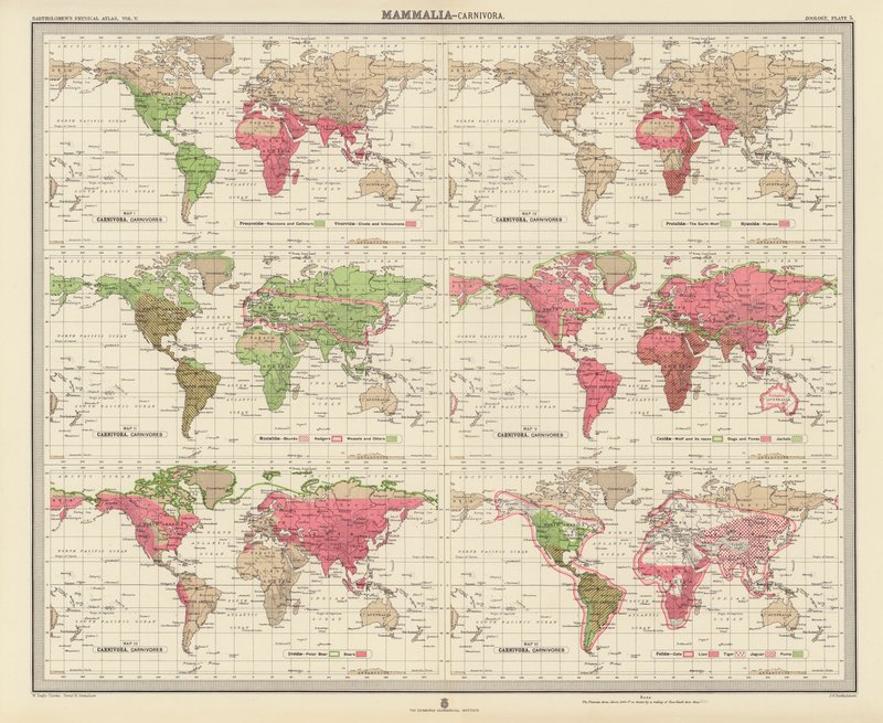 Zoogeografie: (barevná litografie) od English School