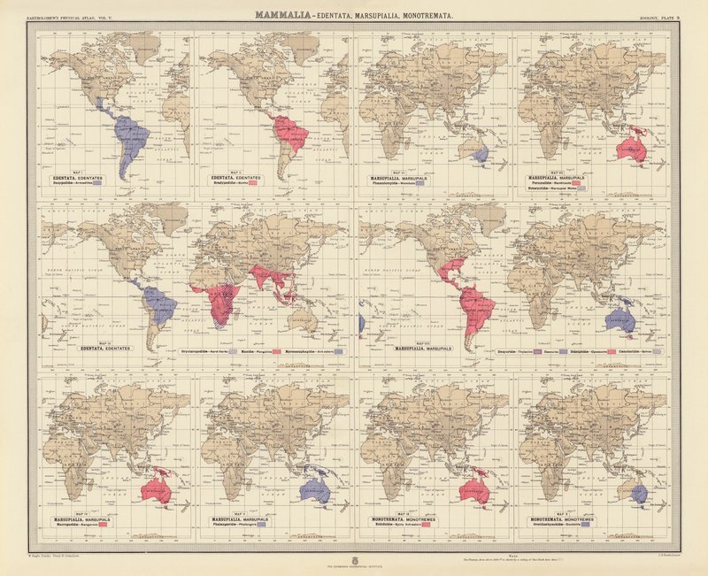 Zoogeografie: (barevná litografie). od English School