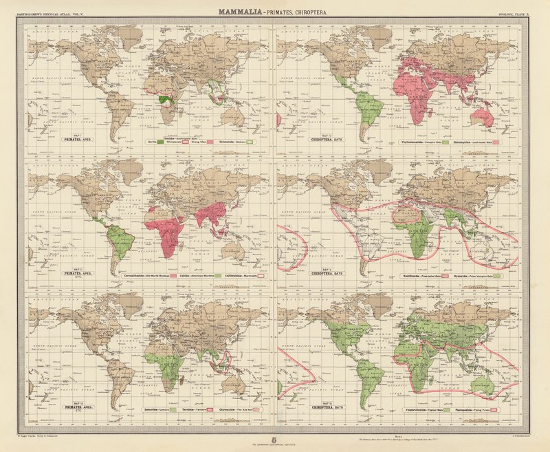 Zoogeografie: (barevná litografie). od English School