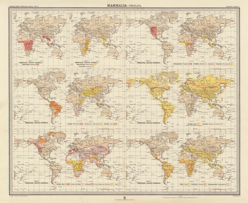 Zoogeografie: (barevná litografie) od English School
