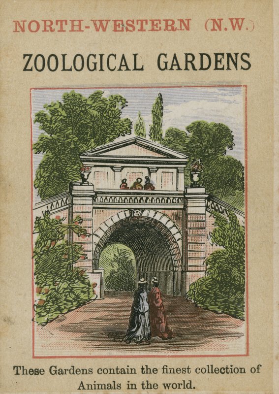 Zoologické zahrady od English School
