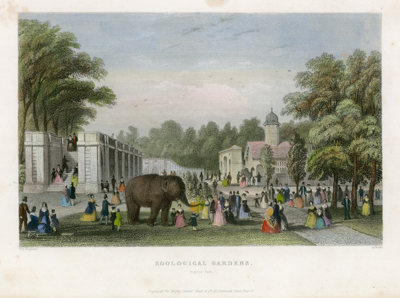 Zoologická zahrada, Regents Park od English School
