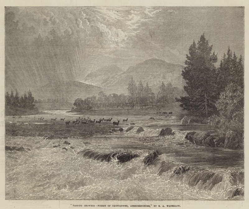 Míjející přeháňky, Forest of Glentanner, Aberdeenshire od Ernest Albert Waterlow