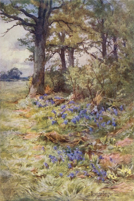 Třásně vonných lesů od Ernest Benger or Berenger