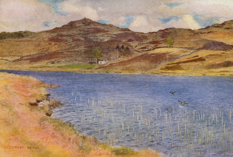 Loch Howie nebo Wee (barevná litografie) od Ernest Edward Briggs
