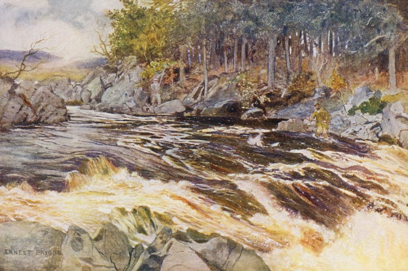 Lov lososů na řece Ken, kritický okamžik (barevná litografie) od Ernest Edward Briggs