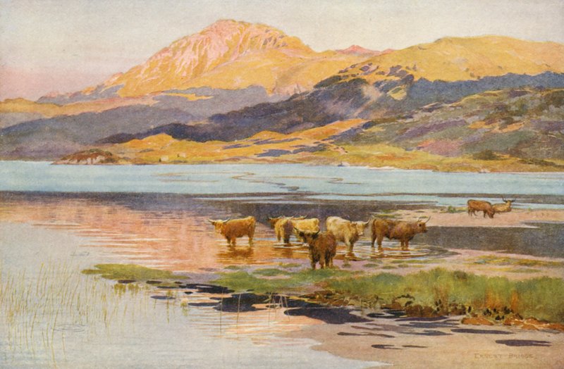 Hlava jezera Loch Quoich, večer (barevná litografie) od Ernest Edward Briggs