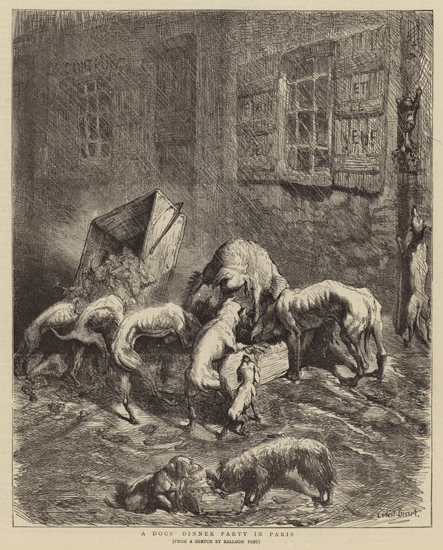 Psí večeře v Paříži od Ernest Henry Griset