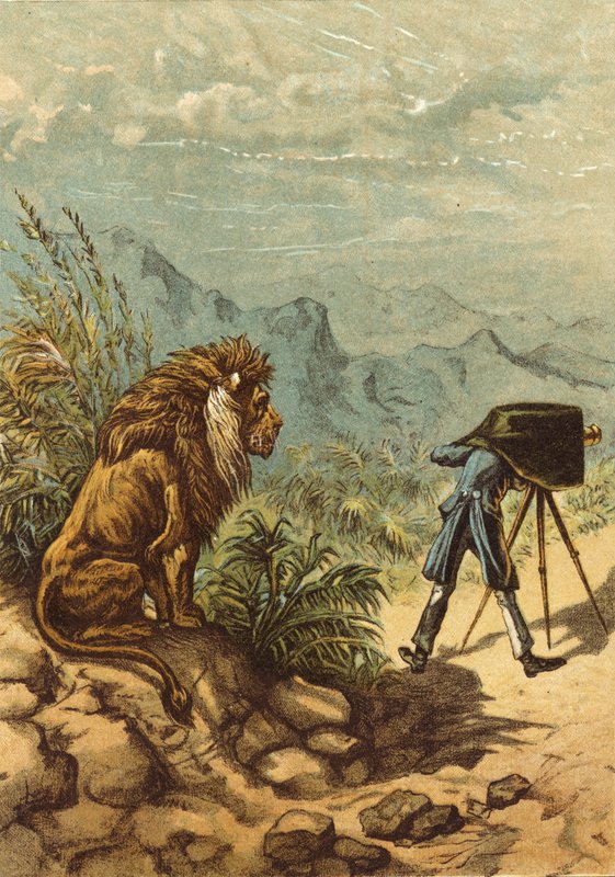 Slibný výhled, fotograf lva pozoruje (chromolitho) od Ernest Henry Griset