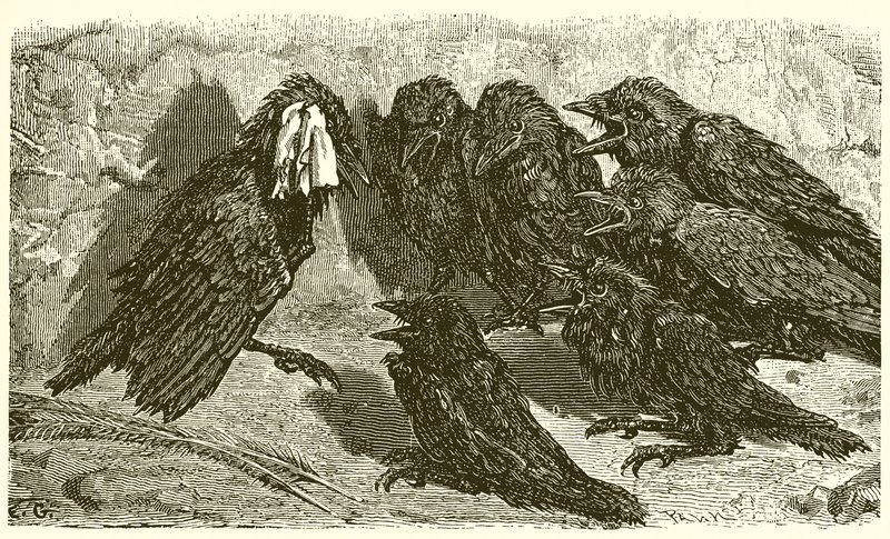 Marná Kavka od Ernest Henry Griset