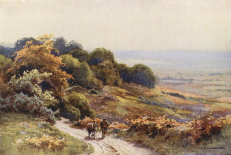 Burley Moor (barevné lito) od Ernest William Haslehust