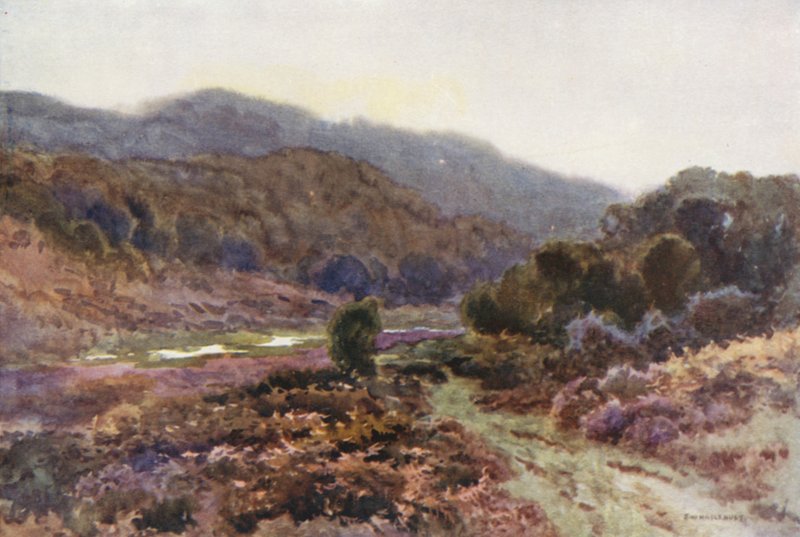 By Broomy Water (barevné lito) od Ernest William Haslehust