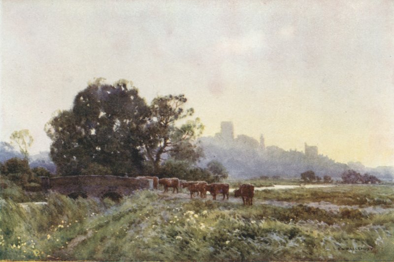 Dorchester z Meadows (barva litho) od Ernest William Haslehust