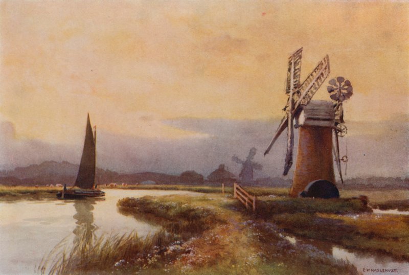 Drenážní mlýny na mravenci (barva lito) od Ernest William Haslehust