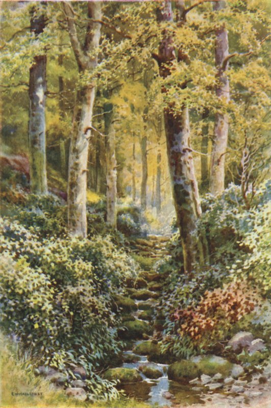 Fairlight Glen (barevné lito) od Ernest William Haslehust