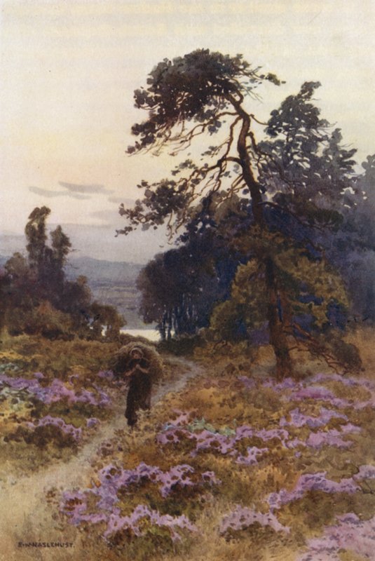 Harlow Moor, Harrogate (barevné lito) od Ernest William Haslehust