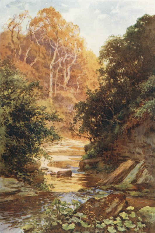 Hayburn Wyke (barevné lito) od Ernest William Haslehust