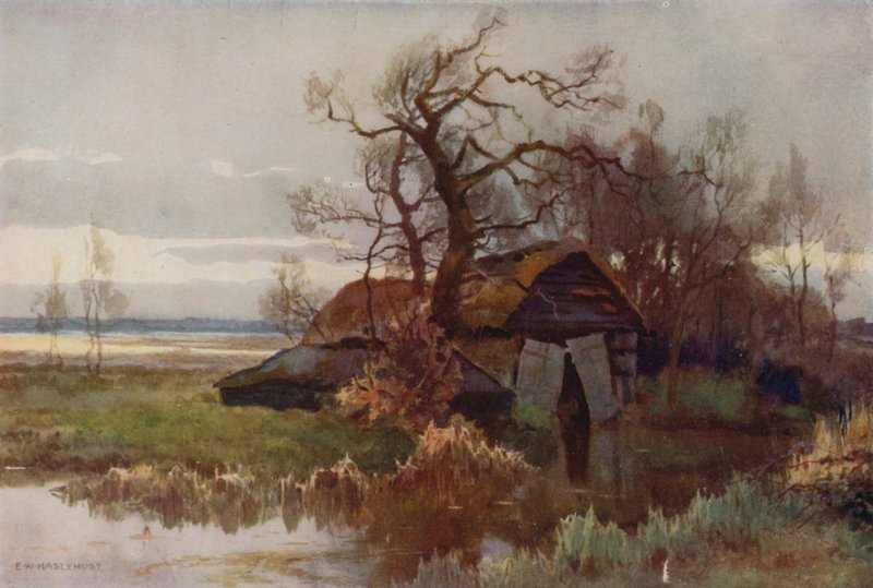Staré loděnice, Barton Broad (barva lito) od Ernest William Haslehust