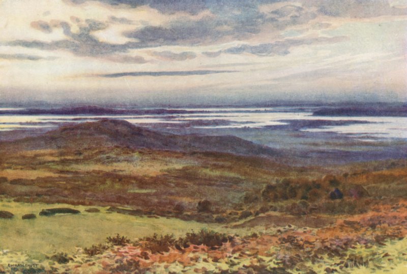 Poole od Swanage Golf Links (barevní členové) od Ernest William Haslehust