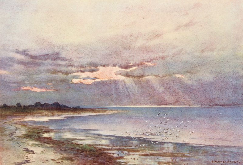 Řeka Temže: (barevná litografie) od Ernest William Haslehust