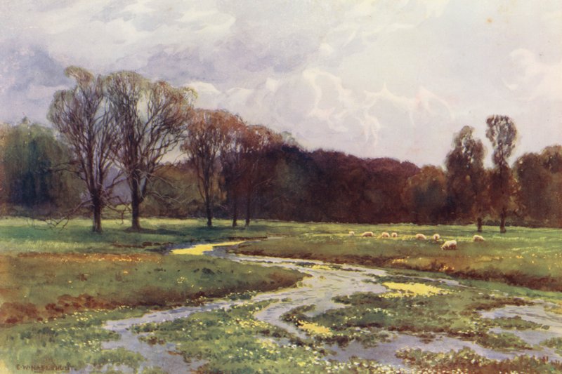 Řeka Temže: (barevná litografie) od Ernest William Haslehust