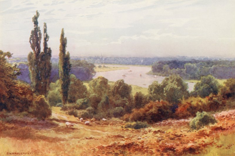 Řeka Temže: Temže z Richmond Hill (barevná litografie) od Ernest William Haslehust