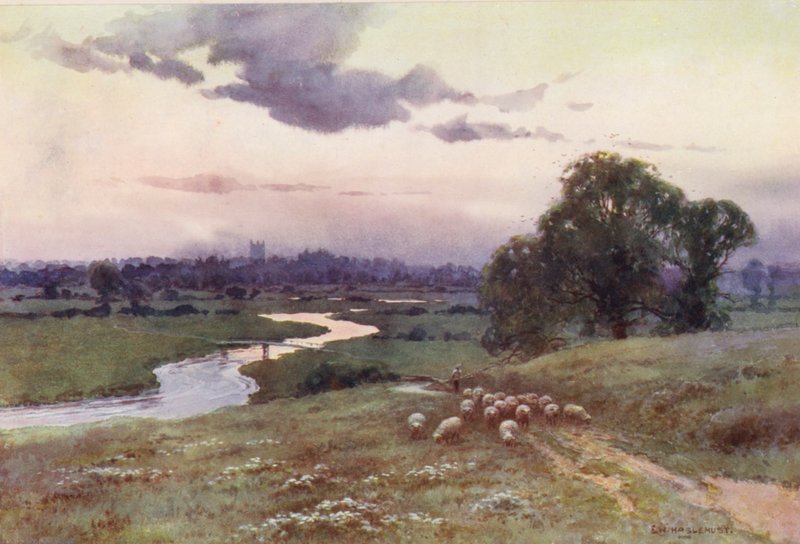 Řeka Temže: Pohled z Eisey Hill (barevná litografie) od Ernest William Haslehust