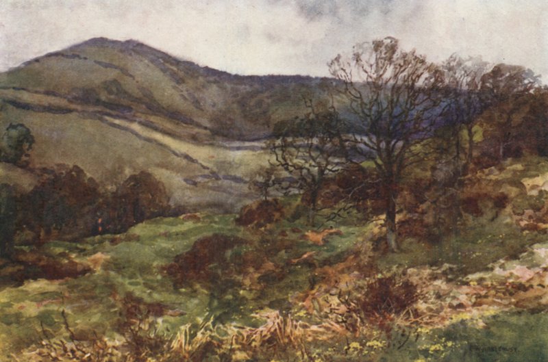 Shanklin Down, brzy na jaře (barevné lito) od Ernest William Haslehust
