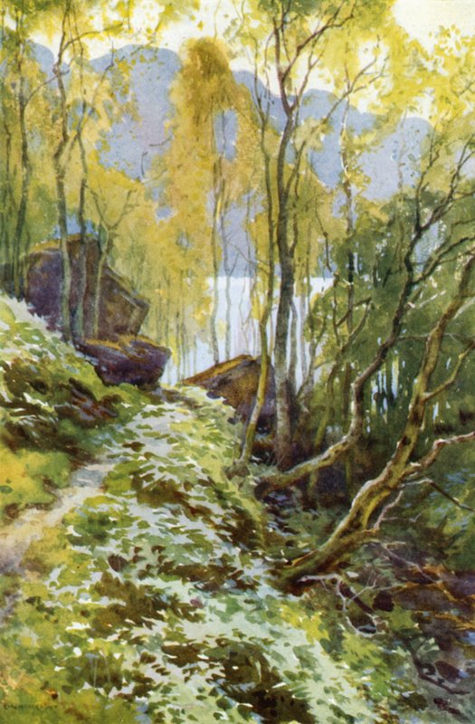 Starý průsmyk, Trossachs (barevné lito) od Ernest William Haslehust