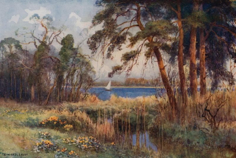 Wroxham Broad, brzy na jaře (barevné lito) od Ernest William Haslehust