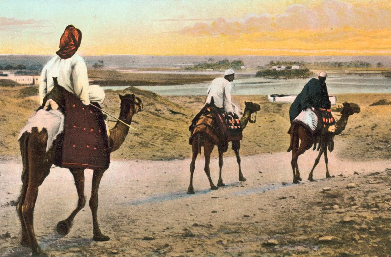 Velbloudi, severní Afrika od European Photographer