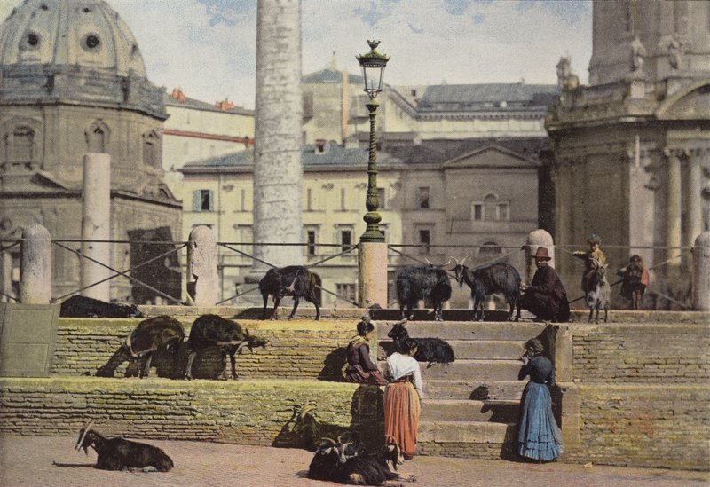 Řím, Kozy Ve Fóru Trajan od European Photographer