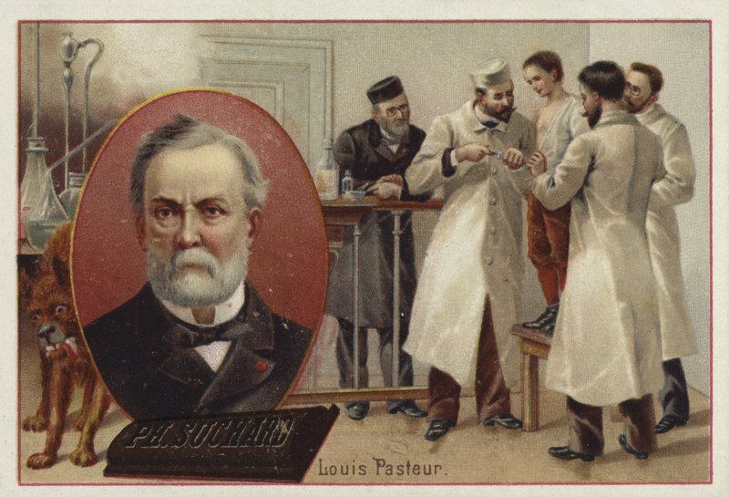 Louis Pasteur , francouzský chemik a mikrobiolog od European School