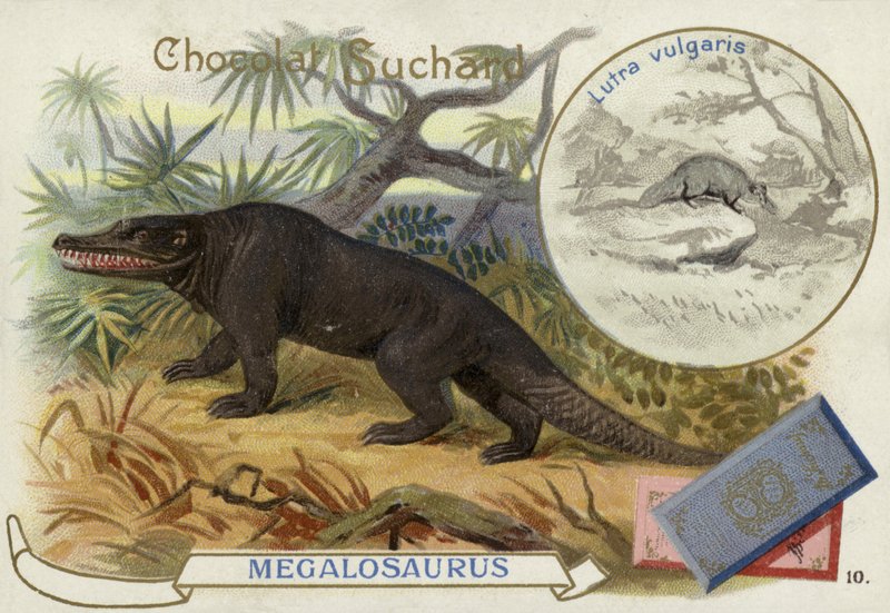 Megalosaurus a vydra od European School