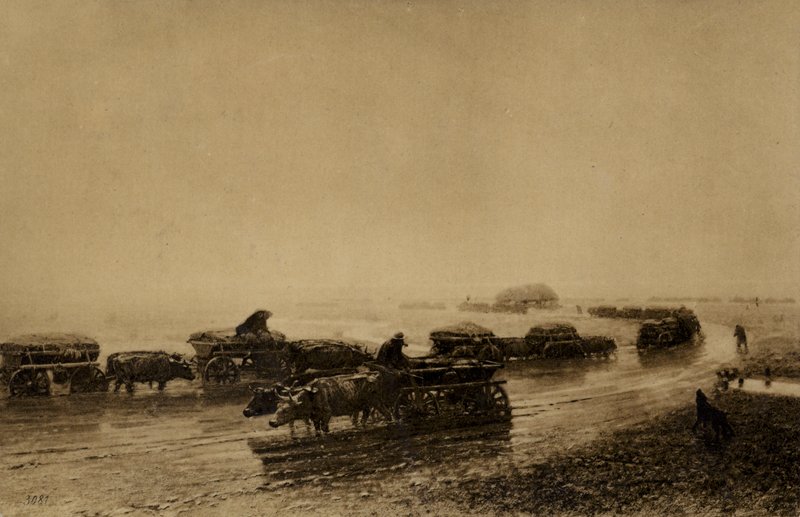 Ox Cart Track v Mariupolu, 1875 od European School