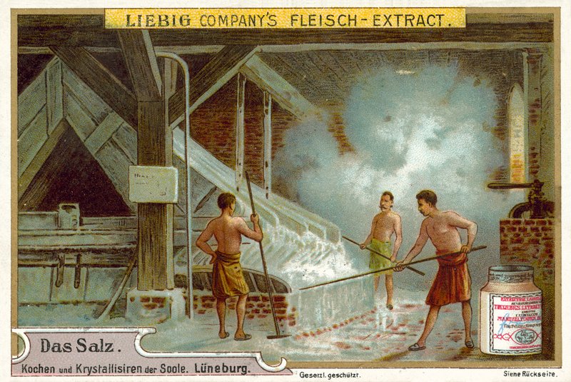 Sůl: vařící solanka, Luneburg, Německo od European School