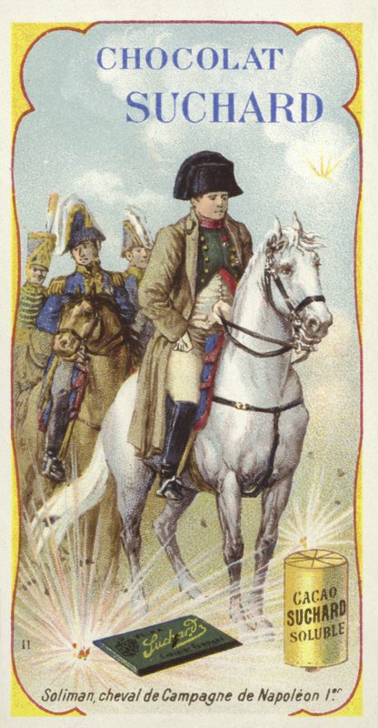 Soliman, válečný kůň Napoleona od European School