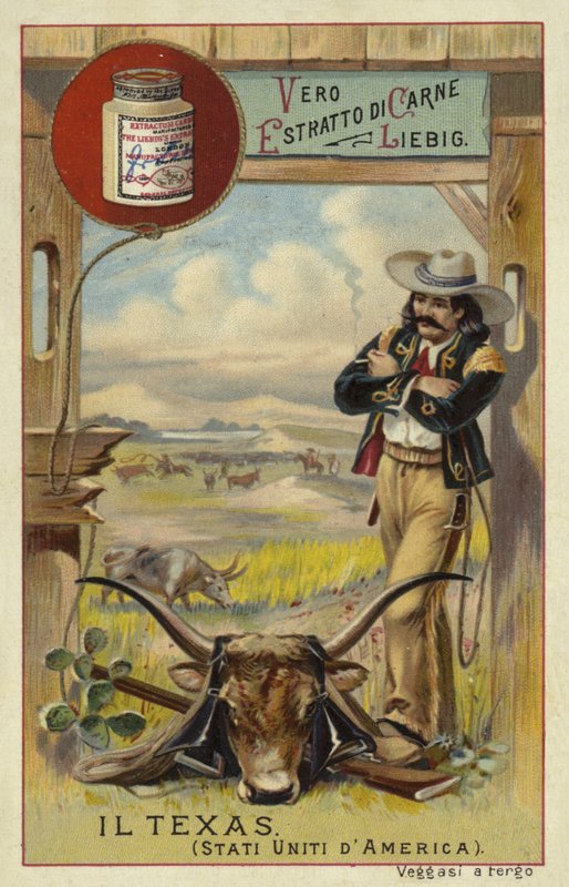 Texas od European School