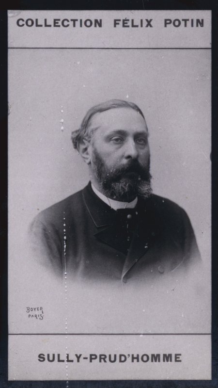 Armand Sully Prudhomme (1839) (černobílá fotografie) od European Photographer